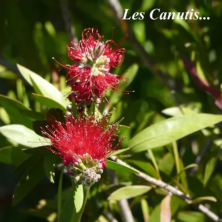 Ferienhaus Domaine Les Ecuries Des Canutis *