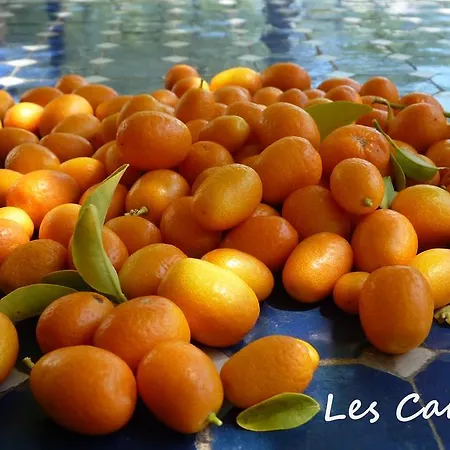 Feriehus Domaine Les Ecuries Des Canutis *